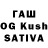 Галлюциногенные грибы Psilocybine cubensis Kevin Strahota