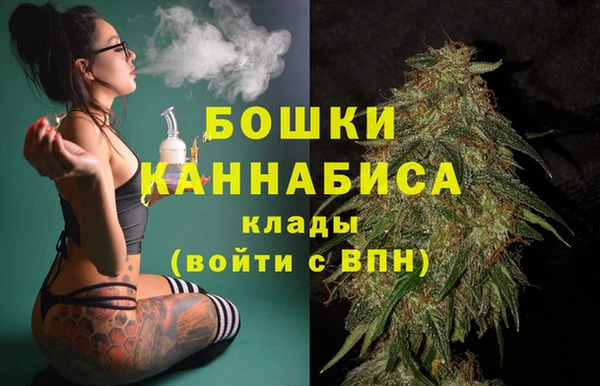 соль ск Новозыбков